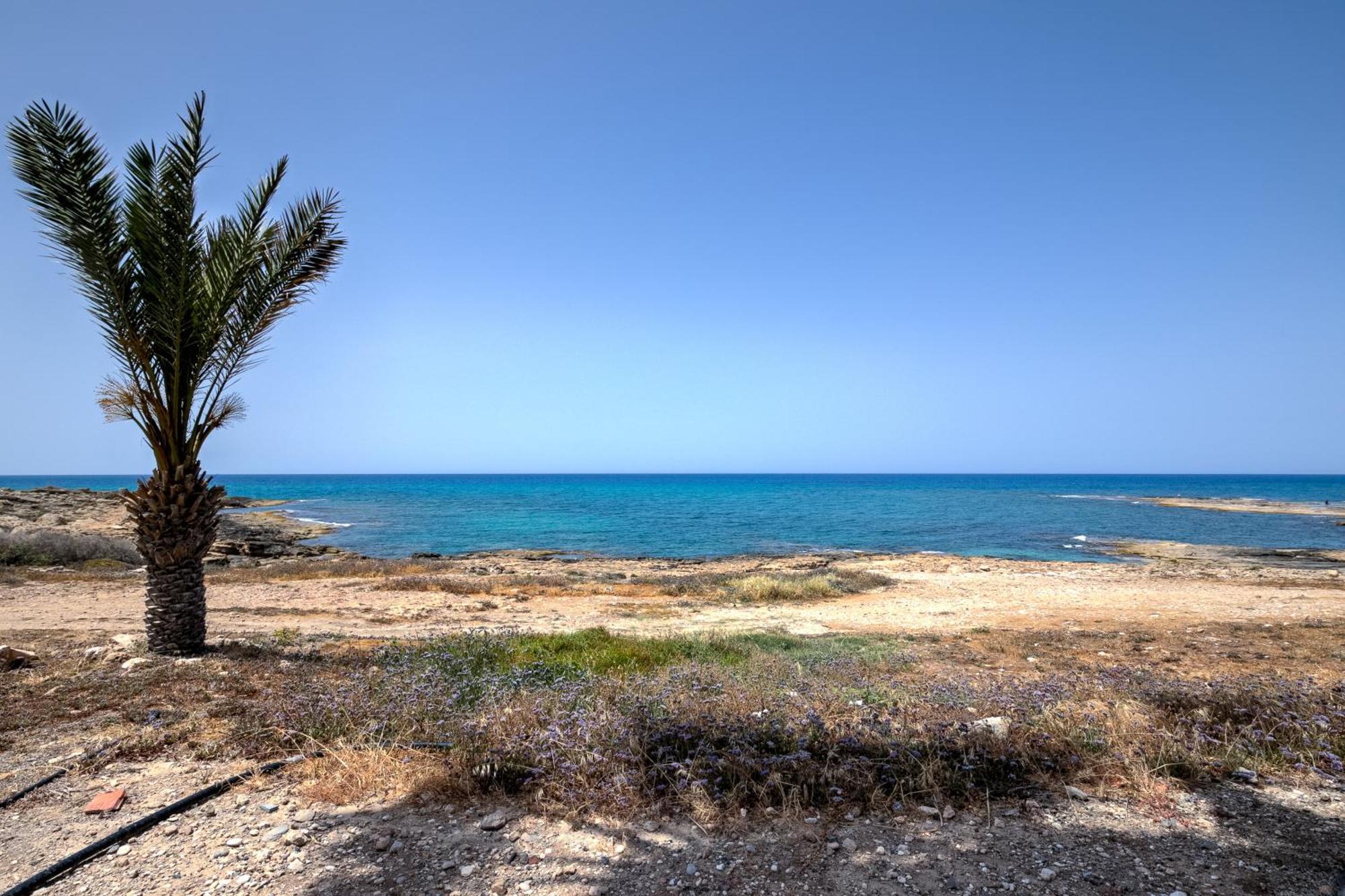 Platzia Beach Villas Pafos Dış mekan fotoğraf